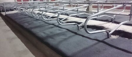 fermu iranga karviu guoliavietes