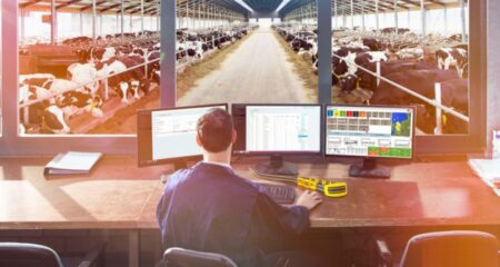 Bandos valdymo programa Uniform-Agri