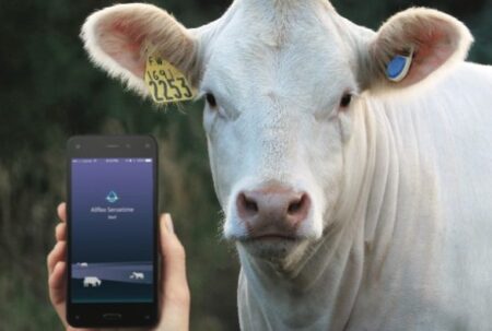 agroinfo, ruju stebejimo sistema, pieno ukis, zemes ukis