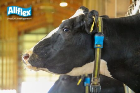 ruju ir sveikatingumo stebejimo sistema