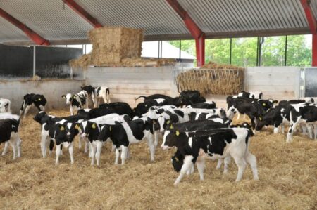 verseliai, fermu statyba, agroinfo, pieno ukis