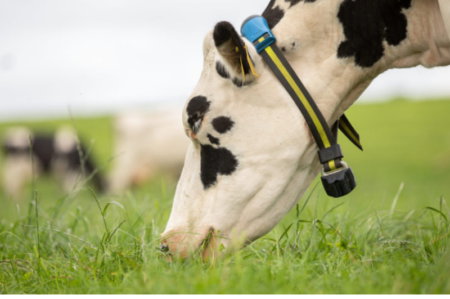 sencehub, rujos, agroinfo, karve nerujoja