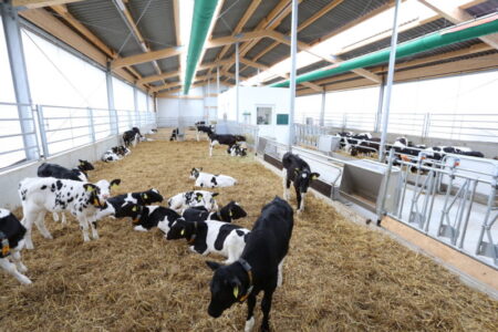 verseliai, fermu iranga, pieno ukis, agroinfo